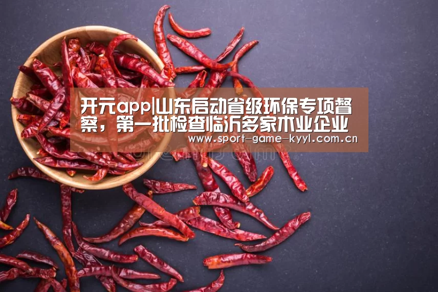 开元app|山东启动省级环保专项督察,第一批检查临沂多家木业企业(图2) 开元app官方入口
